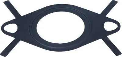 Obrázek produktu pro Těsnění Egr Ventilu Opel