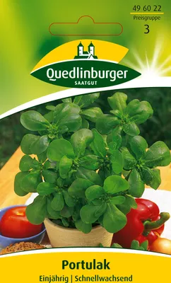 Produktbild von Portulak | Portulaksamen von Quedlinburger