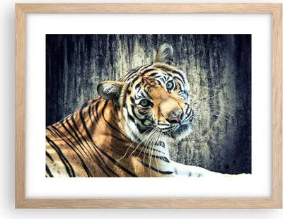 Produktbild von Gerahmtes Poster - Rahmen in heller Eiche - Indien stein tiger wild - 40x30 cm - Wand Bild - Wanddeko - Wandbilder - Wandposter - Bilderrahmen - Bilder - Kunstdruck - Wandbild - P2NAA40x30-2464