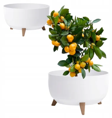 Produktbild von Weiße runde Pflanzenschale auf Beinen 46cm