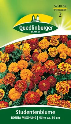 Produktbild von Studentenblume, Bonita Mischung