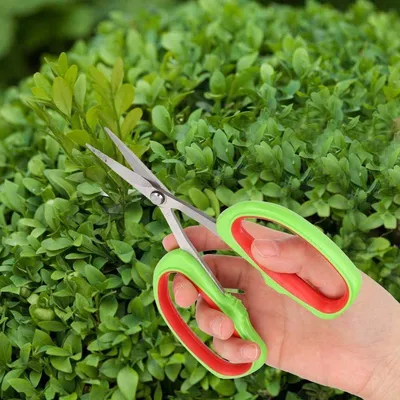 Erste-Hilfe-Set, Hauptbild