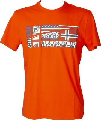 Produktbild von NAPAPIJRI Herren T-Shirt Kurzarm Rundhals Baumwoll T-Shirt mit Aufdruck Artikel NP0A4G34 S-TURIN, XXL, Cotone 100%