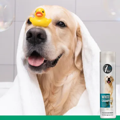 Produktbild von White Shampoo - Hundeshampoo für helles Fell - 2