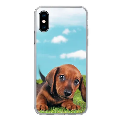 Produktbild von MuchoWow® Handyhülle Schutzhülle Hülle für iPhone X Schöner Himmel über einem niedlichen Dackelwelpen Silikon Softcase Handy Hülle - Handyhülle