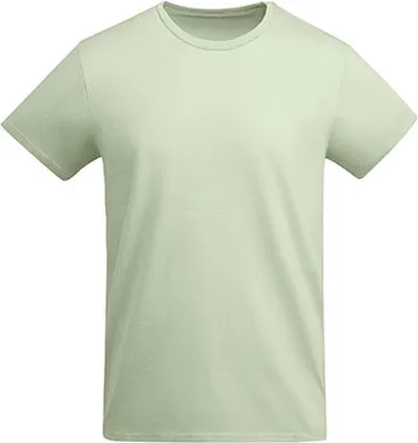 Produktbild von Roly Eco CA6698 | T-Shirt Breda er Baumwolle - Farbe: Mist Green 264 - Größe: M