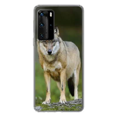 Produktbild von MuchoWow® Handyhülle Schutzhülle Hülle für Huawei P40 Pro Wolf - Asien - Pflanzen Silikon Softcase Handy Hülle - Schutz
