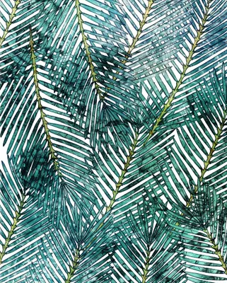 Produktbild von Sanders & Sanders Fototapete Palmblätter Grün 200 x 250 cm