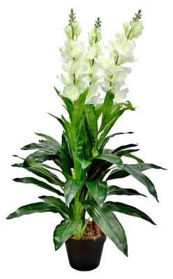 Produktbild von Künstliche Levkoje Matthiola Pflanze, Kunstpflanze 100 cm, weiße Blüten, Kunstblume für Wohn- und Büroräume, allergikerfreundlich und pflegeleicht