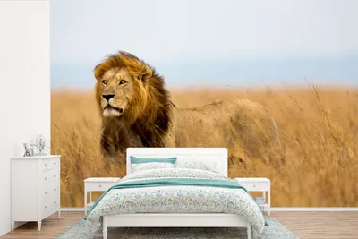 Produktbild von MuchoWow® Fototapete für Wohnzimmer oder Schlafzimmer Wandtapete Vinyl Motivtapete Löwen - Gras - Afrika - 600x400 cm - Vinyltapeten