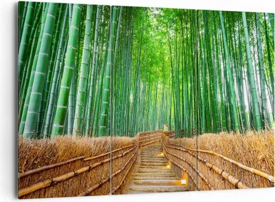 Produktbild von Bild auf Leinwand - Leinwandbild - Bambus Pflanze - 165x110cm - Wand Bild - Wanddeko - Wandbilder - Leinwanddruck - Bilder - Kunstdruck - Wanddekoration - Leinwand bilder - Wandkunst - CE165x110-3979