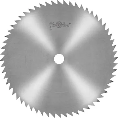 Image de Globus Lame de scie circulaire 300 mm Bois tendre/dur