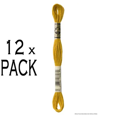 Immagine prodotto di 12 fili di filo da ricamo DMC Mouline Special, 117mc - 3852, filo a 6 capi, 8 metri