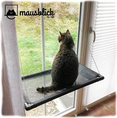 Produktbild von Mausblick Katzenliege Fensterplatz, Perfekter Fensterliegeplatz für Katzen als Hängematte