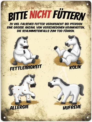 Produktbild von Bitte nicht füttern Metallschild XXL mit weiße Pferde Motiv Schild Blechschild