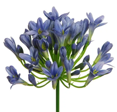 Produktbild von Kunstblume AGAPANTHUS ca 75cm. Liebesblumen, Schmucklilie BLAU