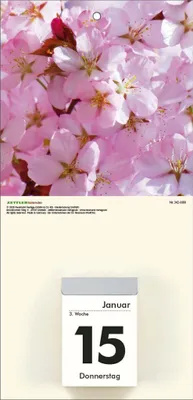 Produktbild von Bildrückwände für Typ 301 und 302 Blumen sortiert
