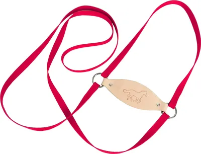 Produktbild von Jamso Design - LOTTI Pferdeleine für Kinder I Rotes Pferdegeschirr für Kinder zum Spielen I Kinderleine ohne Glocken I Aus Leder & Gurtband