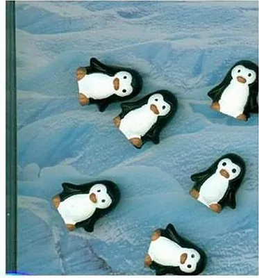 Produktbild von Magnete PINGU 6er Set weiss/schwarz