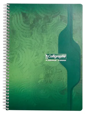 Zdjęcie produktu dla Calligraphe 10x notesy spiralowane A4 w kratkę 50 kartek 70g - Różne 2407C