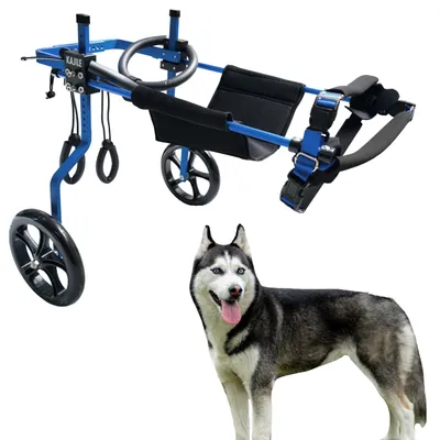 Verstellbarer Hunderollstuhl für Hinterbeine, Blau, XL-3