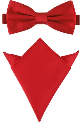 Produktbild von Ladeheid Herren Schmale Fliege & Einstecktuch Set M/P (12cm x 6cm, 22cm x 22cm)