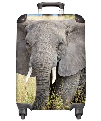 Produktbild von MuchoWow® Koffer Handgepäck Trolley Rollkoffer Kleine Reisekoffer mit 4 Rollen - Elefant - Tiere - Gras - Natur - Cabin Size < 55x40x23 cm & 55x40x20 cm - Fotokoffer - Kabinenkoffer - Boardgepäck - Reise-Box - Reisekoffer - Reisegepäck - Koffer mit Bild - Trolley für Kinder