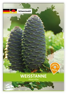 Produktbild von Weißtanne (Regionale Sorte Schwarzwald) | Saatgut für Werbezwecke von FLORTUS