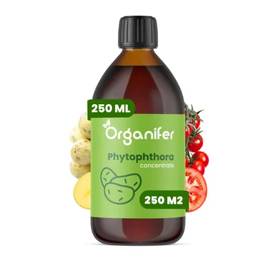 Zdjęcie produktu dla Koncentrat przeciwko Fytoftorze – 250 ml na 250 m2 - Organifer