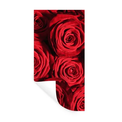 Produktbild von MuchoWow® Wandtattoo Wandsticker Wandaufkleber Rosen - Rose - Rot 20x40 cm Selbstklebend und Repositionierbar - Selbstklebend - Fototapeten