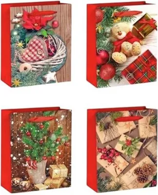 Produktbild von Geschenktüte WK 22372 S 76990