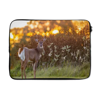 Produktbild von MuchoWow® Laptop Hülle 14 ZollHirsche - Pflanzen - Sonnenuntergang - Wildtiere - Natur Laptoptasche - Laptoptasche - Stoßsicher - Schutzhaube