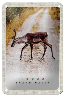 Produktbild von Blechschild Reise 12x18cm Skandinavien Hirsch Natur Weg Urlaub Schild