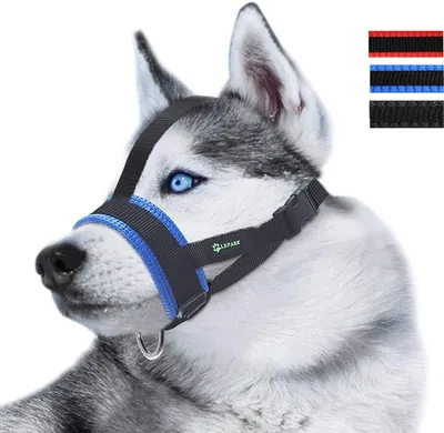 Produktbild von Nylon-Maulkorb für kleine, mittelgroße und große Hunde, blau
