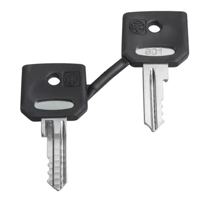 Produktbild von Schneider Electric Ersatzschlüssel ZBG421E