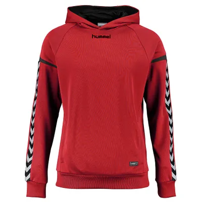 Produktbild von Hummel Kinder-Kaputzensweatshirt Authentic Charge Poly grau, 116