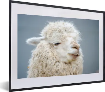 Produktbild von MuchoWow® MuchoWow® Gerahmtes Poster Alpaka - Wolle - Weiß 60x40 cm - Poster mit zchwarzem Bilderrahmen - Schlafzimmer - Plakat in Rahmen - Drucken