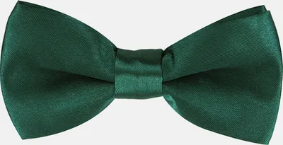 Produktbild von axy Kinderfliege, Kinder Jungen Fliege 10 x 5 cm,  bereits gebunden, verstellbar, glänzend, Seidenlook Hochzeit-Festliche Mode