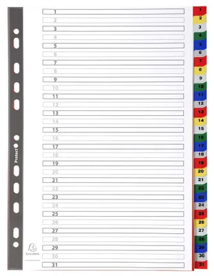 Immagine prodotto di Exacompta 93E Raccoglitore in polipropilene colorato, 31 scomparti, formato A4, 22,5 x 29,7 cm