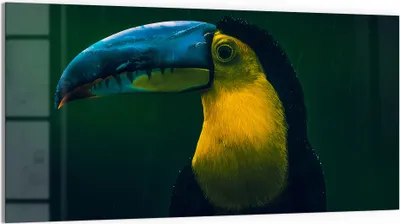 Produktbild von DEQORI Glasbild Echtglas 100x50 cm 'Dschungelbewohner' Wandbild Bild modern Deko
