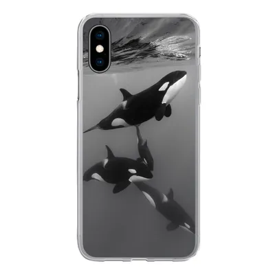Produktbild von MuchoWow® Handyhülle Schutzhülle Hülle für iPhone X Orca - Wasser - Schwarz - Weiß Silikon Softcase Handy Hülle - Handyhülle