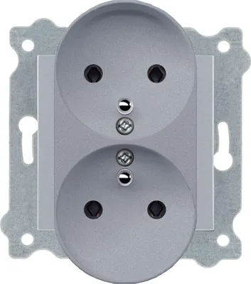 Image de Prise double avec mise à la terre (Type E) Argent 246/10E EXEN