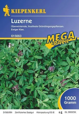 Produktbild von Kiepenkerl Luzerne Gründünger lose per kg, tiefwurzelnd