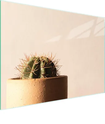 Productafbeelding van Glazen snijplank, 40x30 cm, met cactusthema