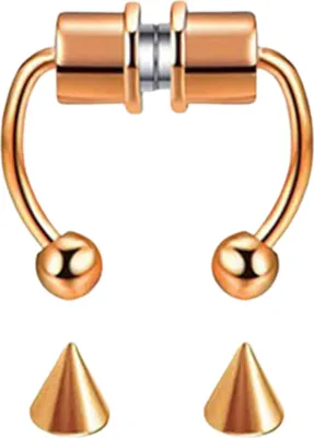 Produktbild von Nicht durchdringender gefälschter Nasenring, wiederverwendbarer Edelstahl-Nasenring, modische magnetische Septumringe für Party-Roségold