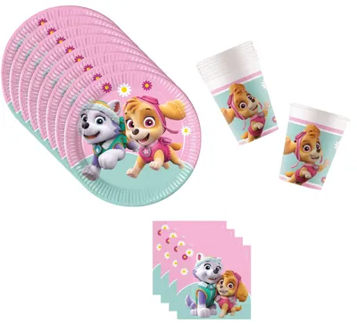 Produktbild von PAW Patrol Skye Everest Party Deko Set 36 teilig Kindergeburtstag Geschirr