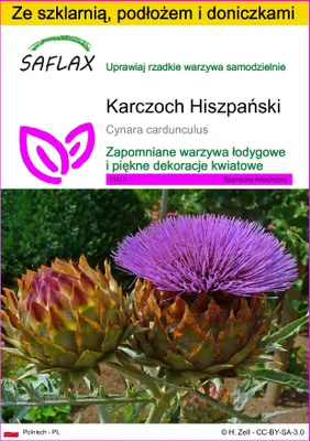 Zdjęcie produktu dla SAFLAX - Zestaw do uprawy - Karczoch Hiszpański - 50 Nasiona - Z mini szklarnią, podłożem uprawowym i 2 doniczkami - Cynara cardunculus