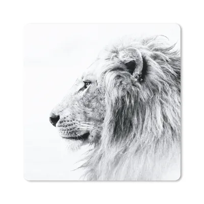 Produktbild von MuchoWow® Mauspad Mousepad Löwe - Schwarz - Weiß - Tiere 30x30 cm - Mousepads - Maus Mat - Pad - Mausunterlage - Gaming
