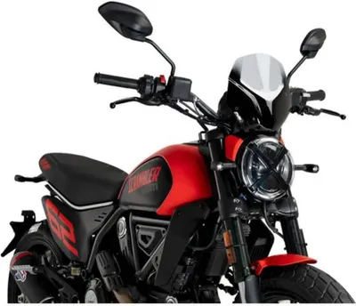 Image de PUIG naked sport screen smoked clear ABE approved for Ducati