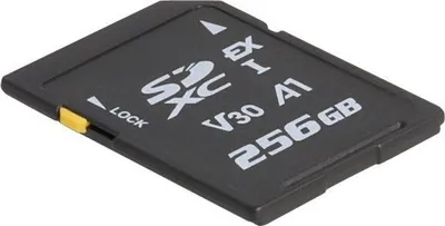 Obrázek produktu pro DELOCK SD Express Speicherkarte 256 GB